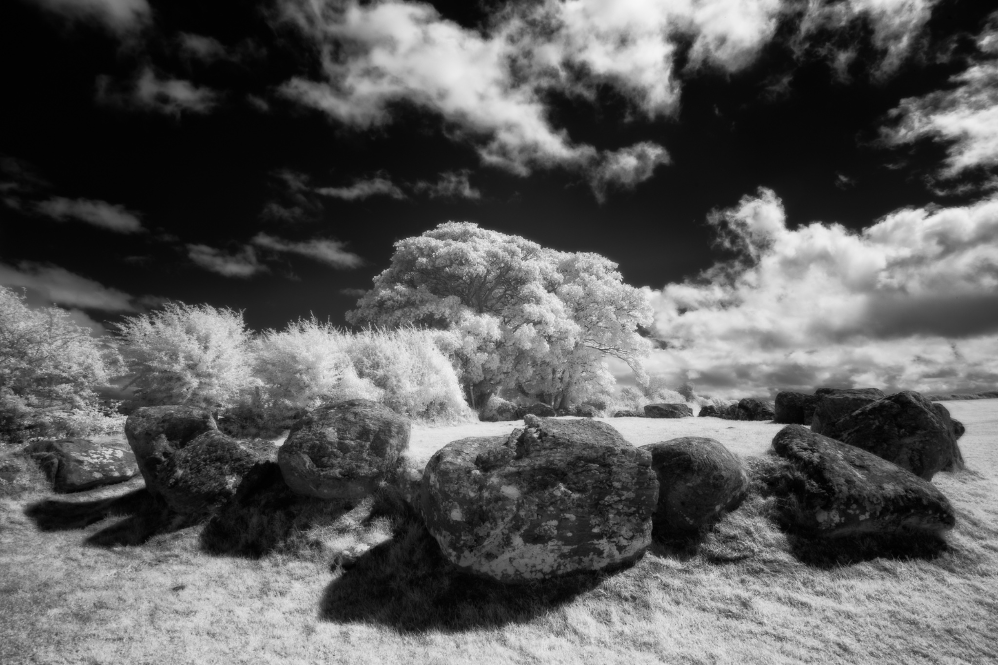 Carrowmore Megalithic Cemetery, County Sligo, Ireland.